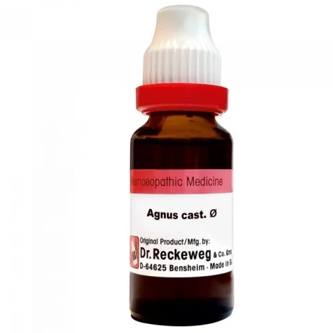 Agnus Cast Mother Tincture Q 20 ml | Dr. Reckeweg, Germany