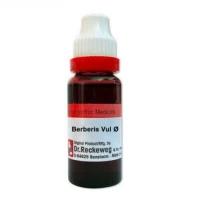 Berberis vul Q 20 ml | Dr. Reckeweg, Germany