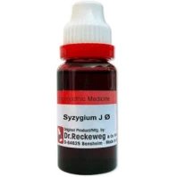 Syzygium Jamb Q 20 ml | Dr. Reckeweg, Germany