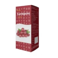 Carnipure Syrup-450 ml