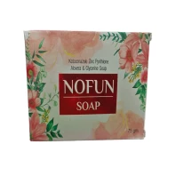 NOFUN Soap-75 gm