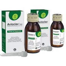 Avloclav BID [Powder For suspension]-50 ml