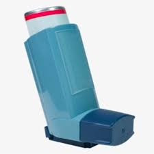 Seraflo 250 Inhaler-120 metered doses