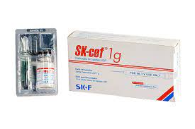 SK-Cef 1 gm/Vial-[IM/IV Injection]