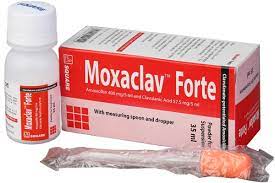 Moxaclav Forte [Powder for Suspension]-50 ml