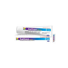 Salison Ointment-10 gm