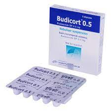 Budicort 0.5 mg/2 ml Nebuliser Solution-6 Pcs