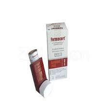 Formocort (80 mcg+4.5 mcg)/puff Inhaler-60 metered doses