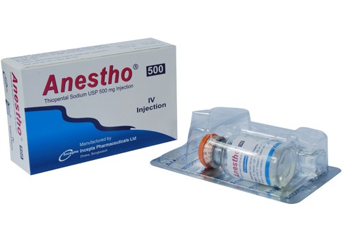 Anestho 500 mg/vial IV Injection