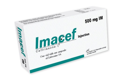 Imacef 500 mg/vial IM Injection