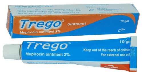 Trego Ointment-10 gm Tube